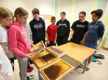 DELAVNICE NA OŠ RAKEK 22 FOTO LJUBO VUKELIČ